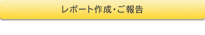 レポート作成・ご報告