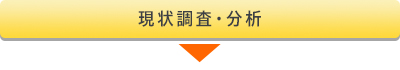 現状調査・分析